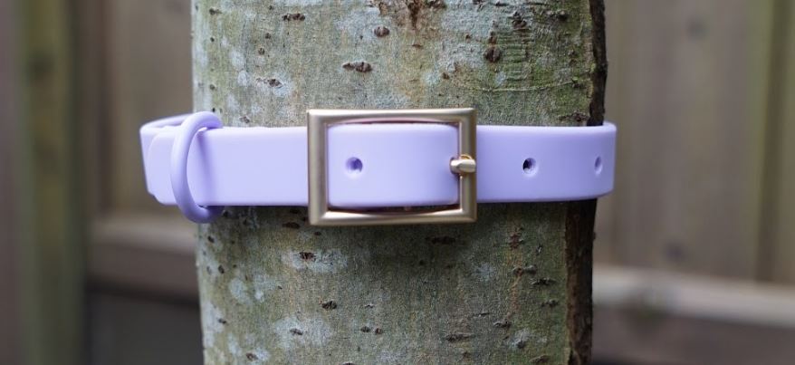 Soft flex waterproof dog collar