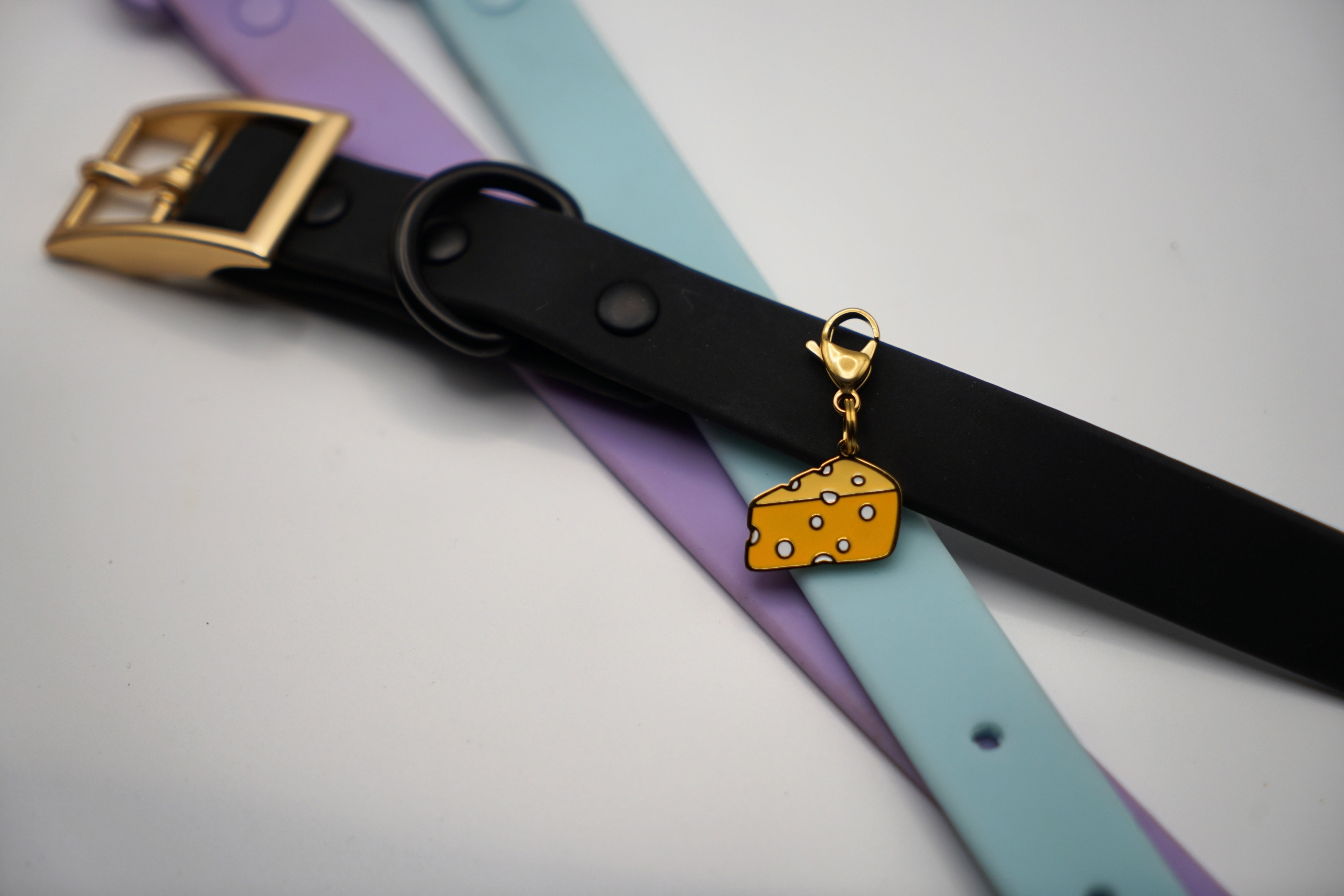 Say Cheese! Every Collar & Leash Now Comes With a Free MontereyxJack Charm