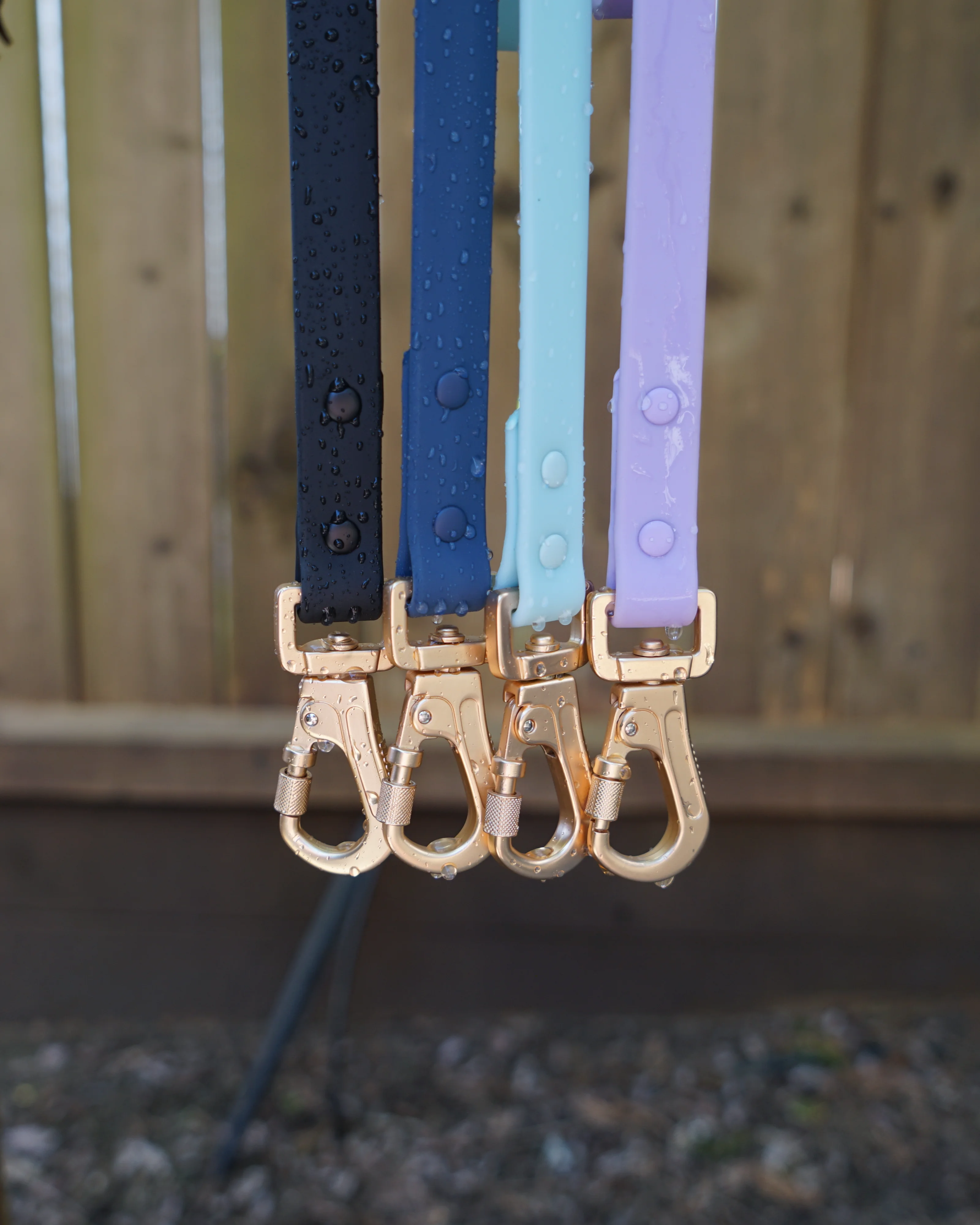 Lavender Has Arrived: A New Color in Our All-Weather Waterproof Dog Collection